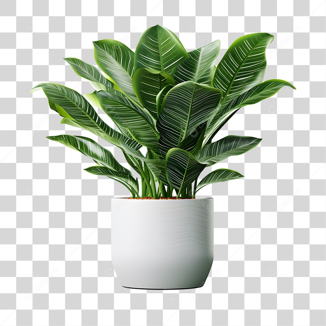 Elemento 3D Vaso de Plantas PNG Transparente