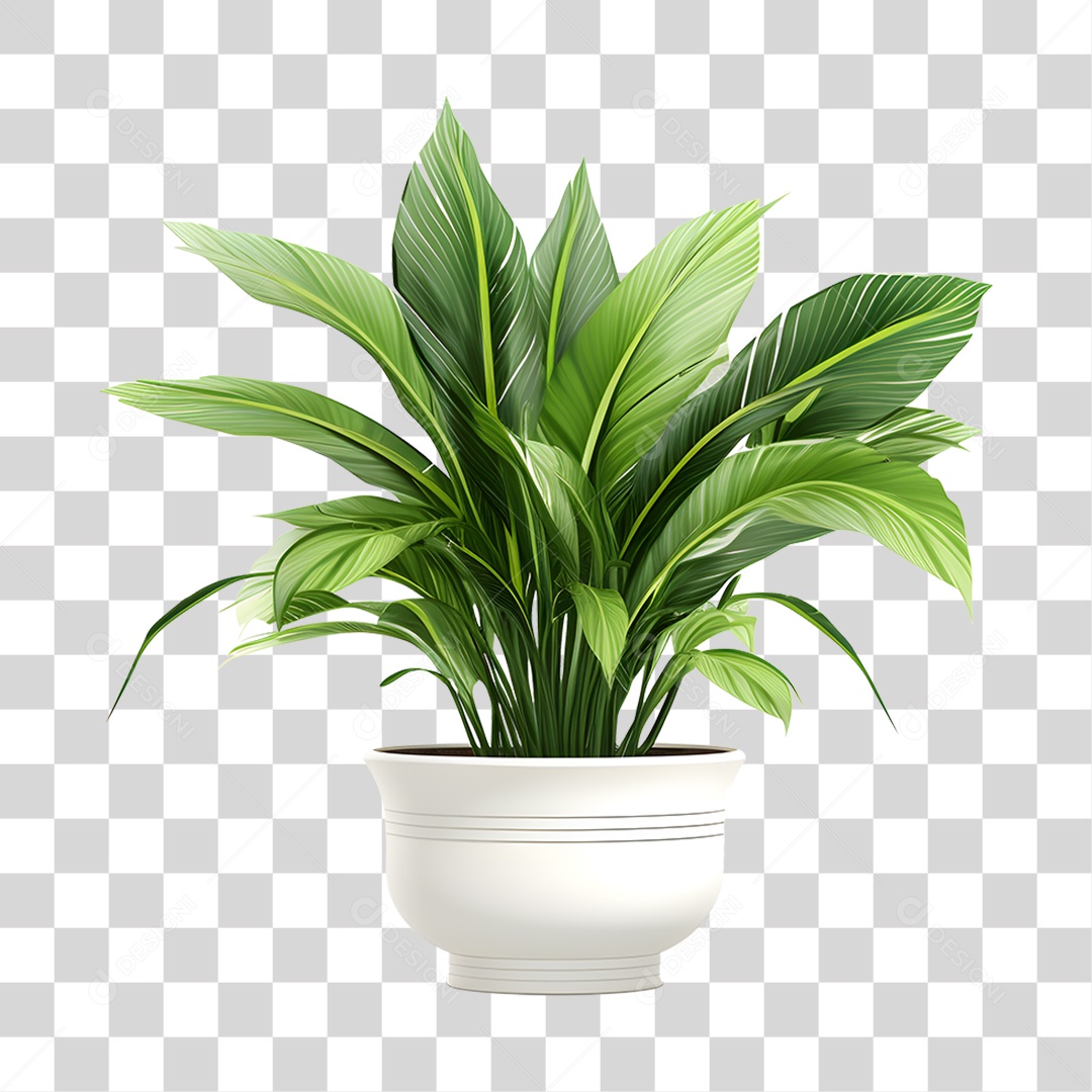 Elemento 3D Vaso de Plantas PNG Transparente