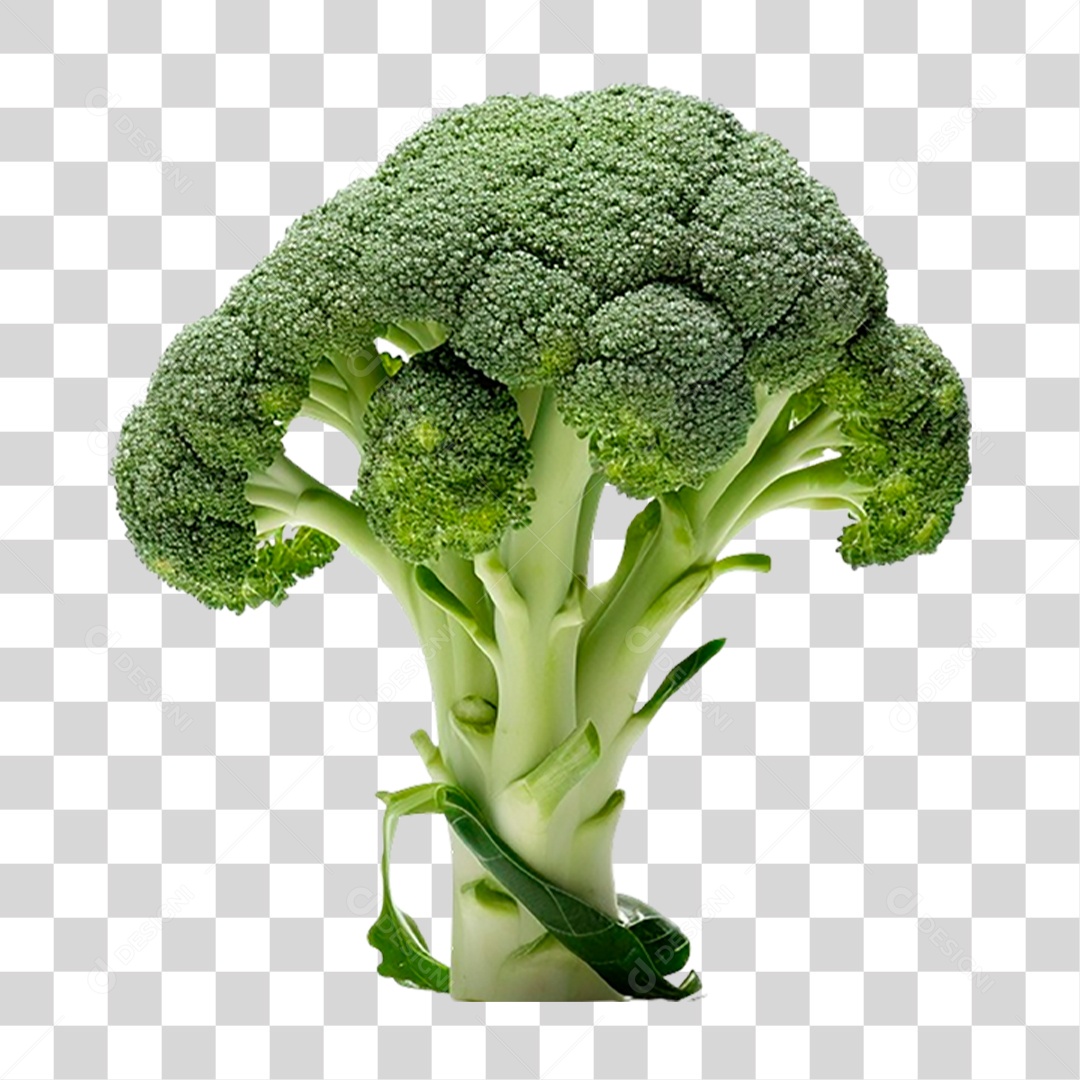 Brócolis PNG Transparente