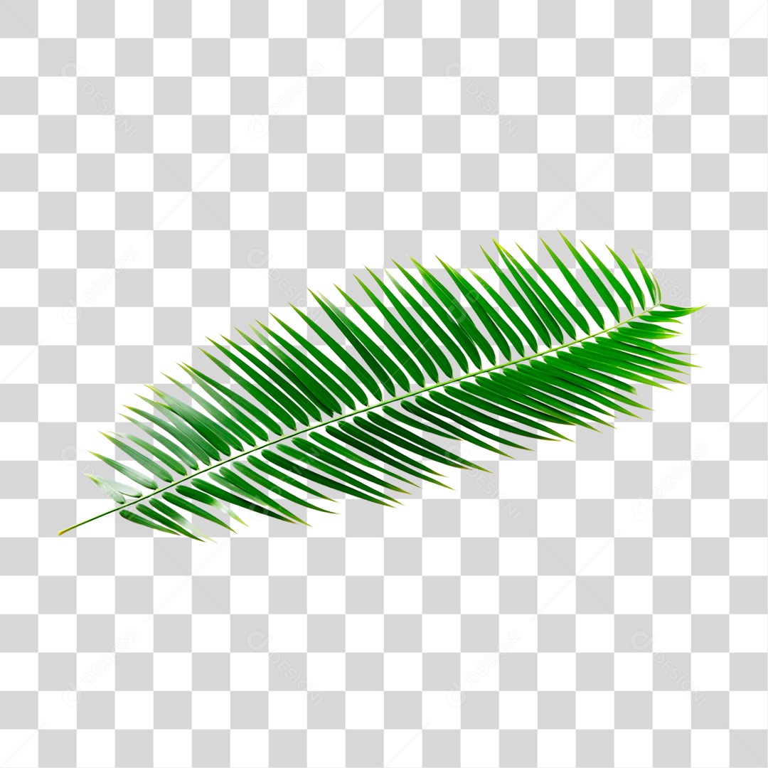 Palha Verde PNG Transparente