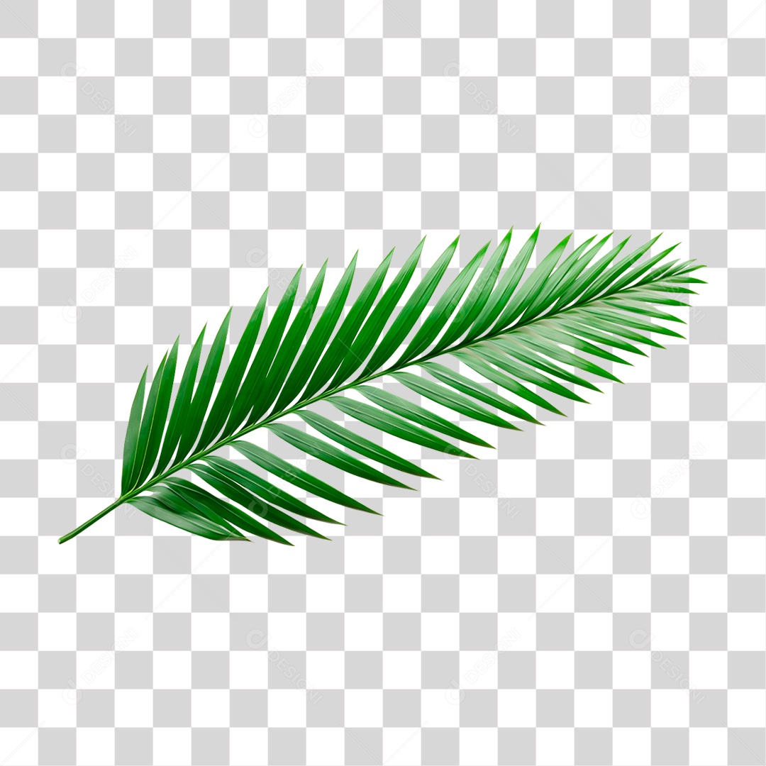 Palha Verde PNG Transparente