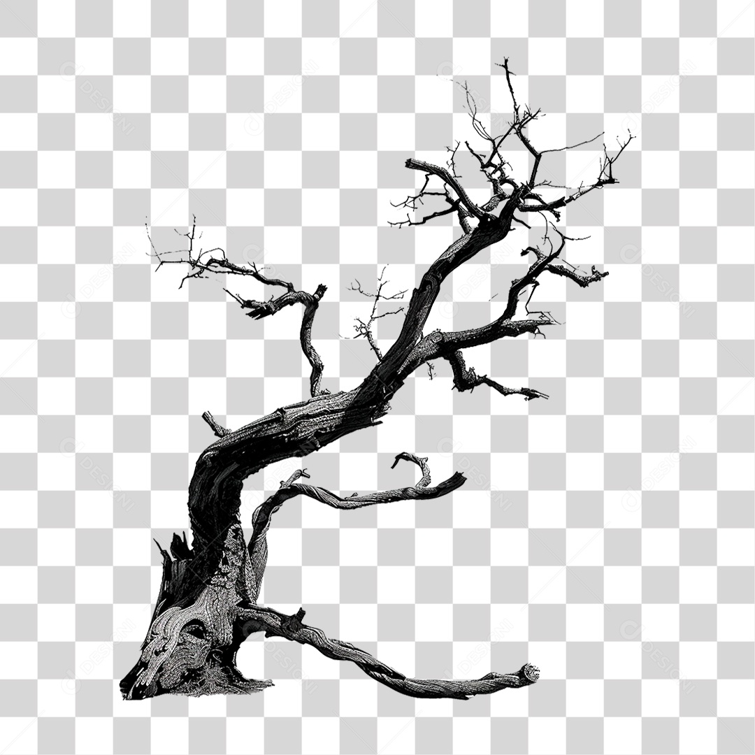 Árvore Morta PNG Transparente