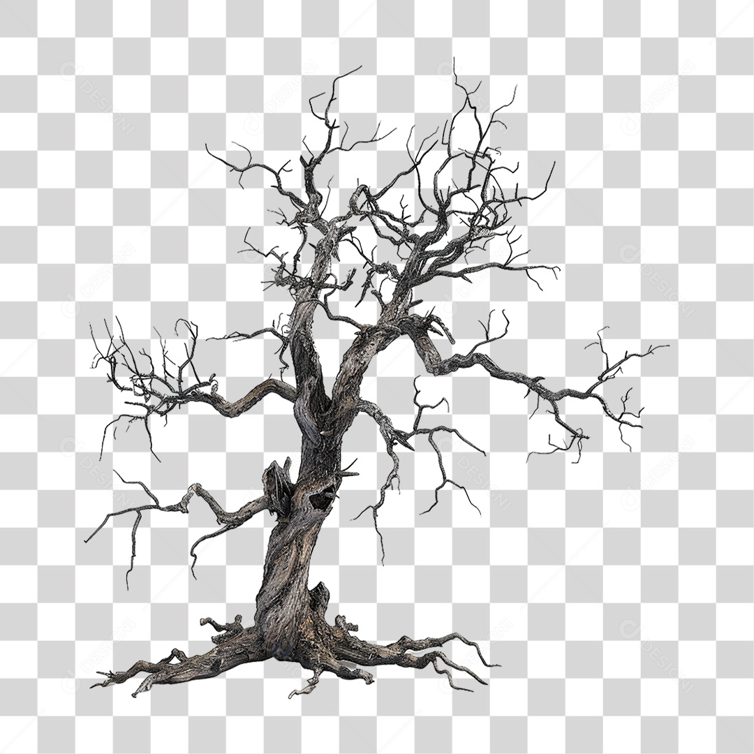 Árvore Morta PNG Transparente
