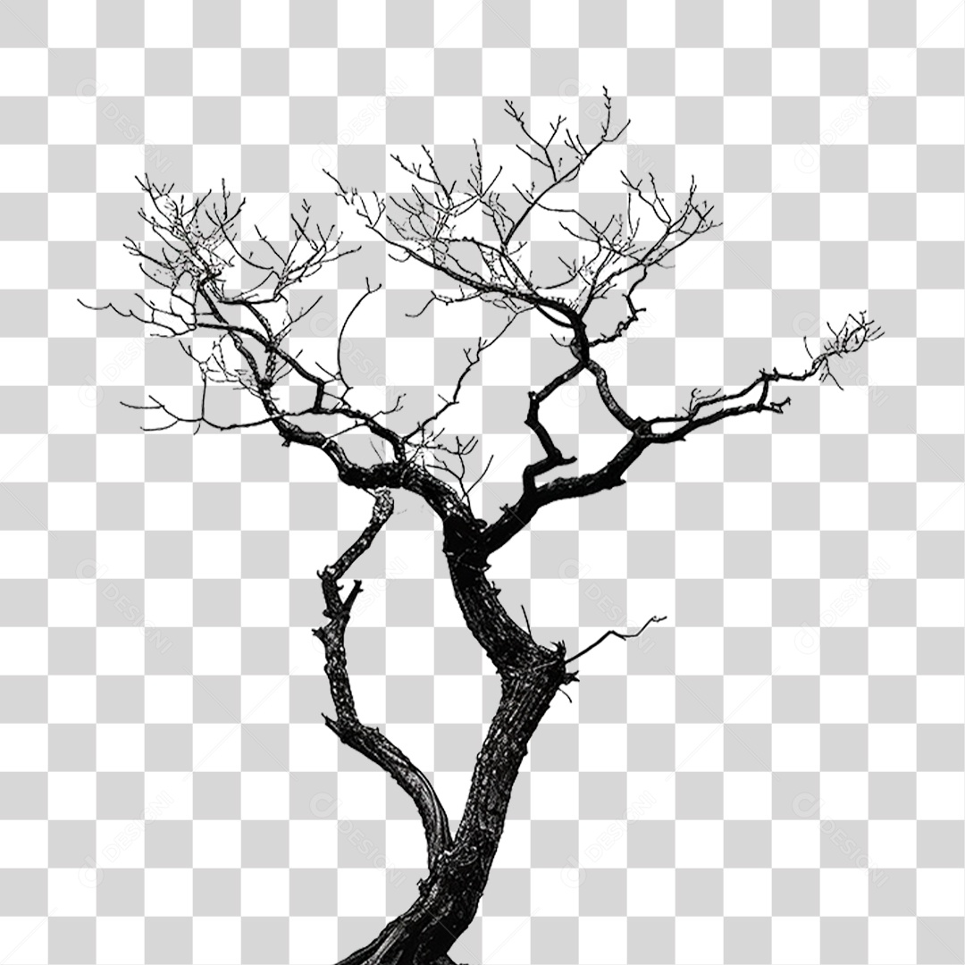 Árvore Morta PNG Transparente