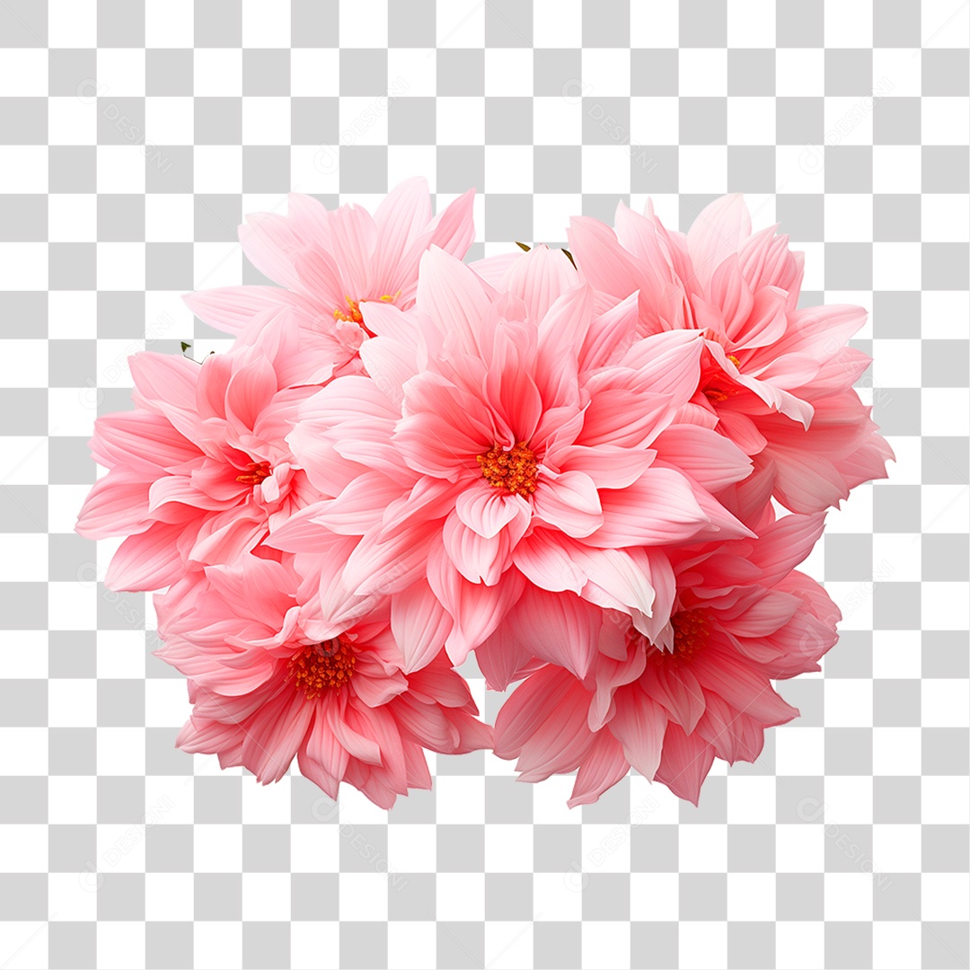 Flor Rosa PNG Transparente