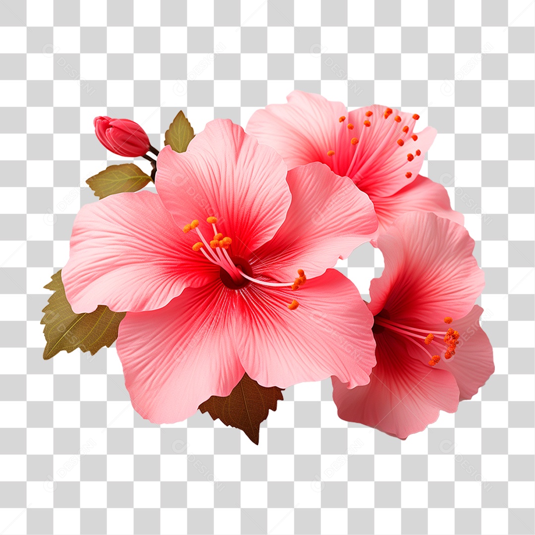 Flor Rosa PNG Transparente