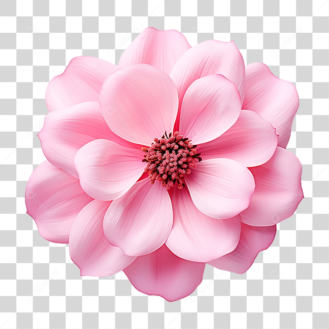 Flor Rosa PNG Transparente