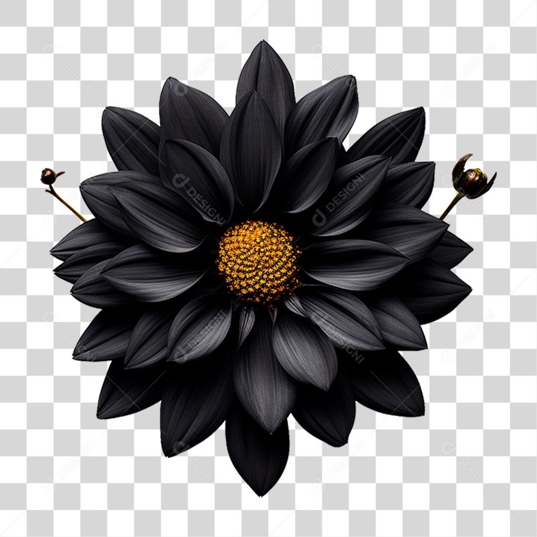 Flor Negra PNG Transparente