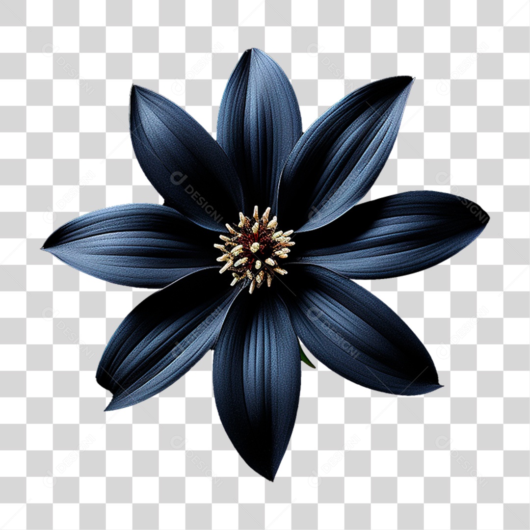 Flor Negra PNG Transparente