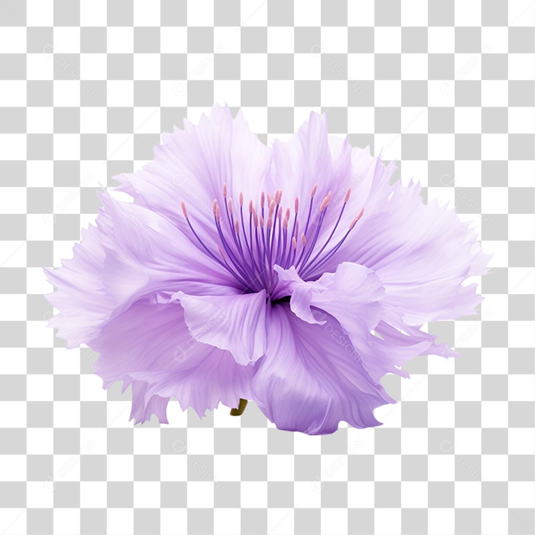Flor Roxa PNG Transparente
