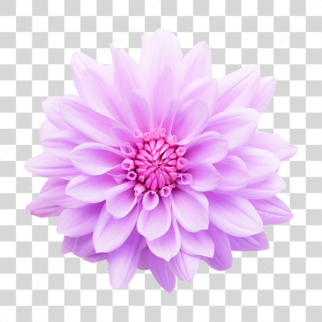 Flor Roxa PNG Transparente