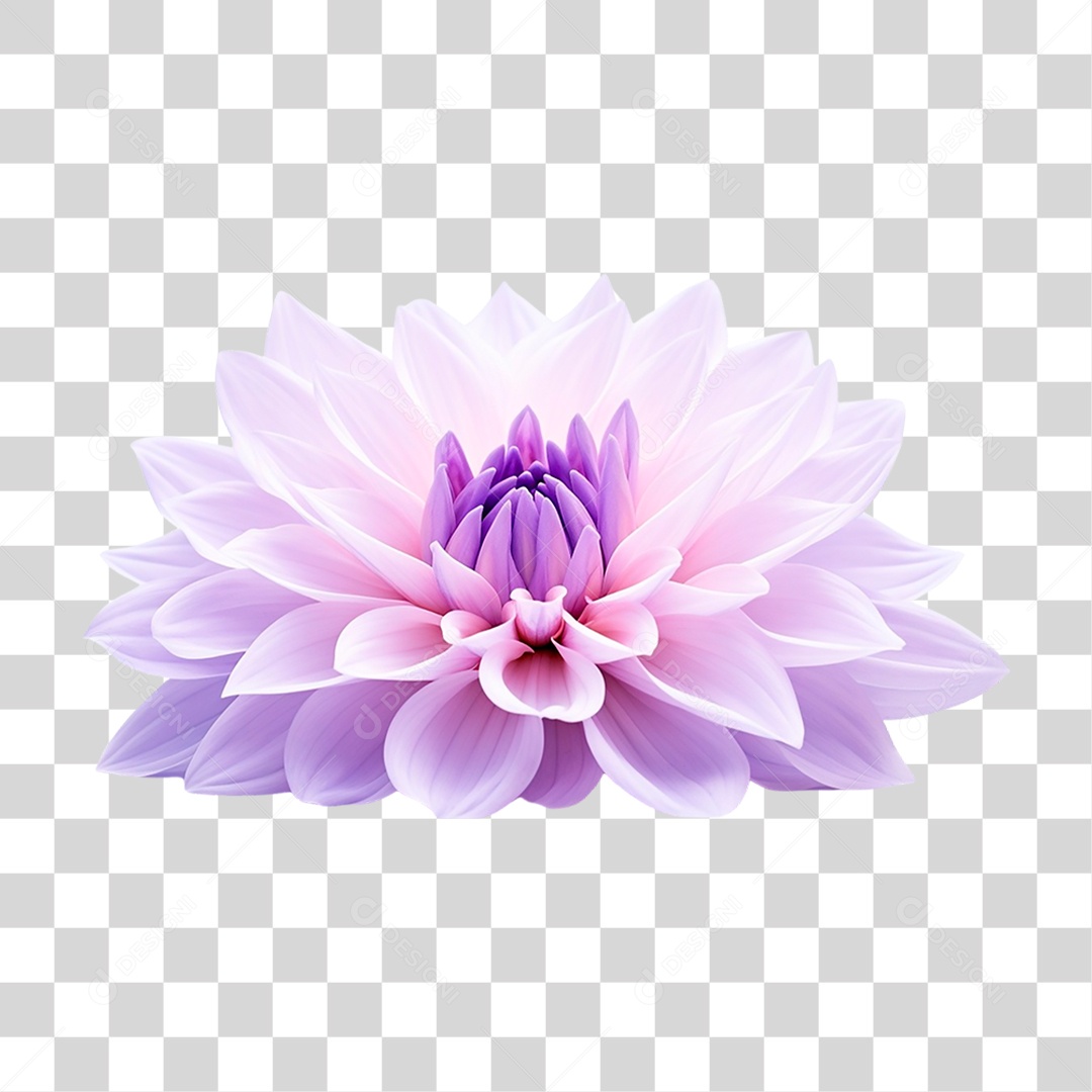 Flor Roxa PNG Transparente