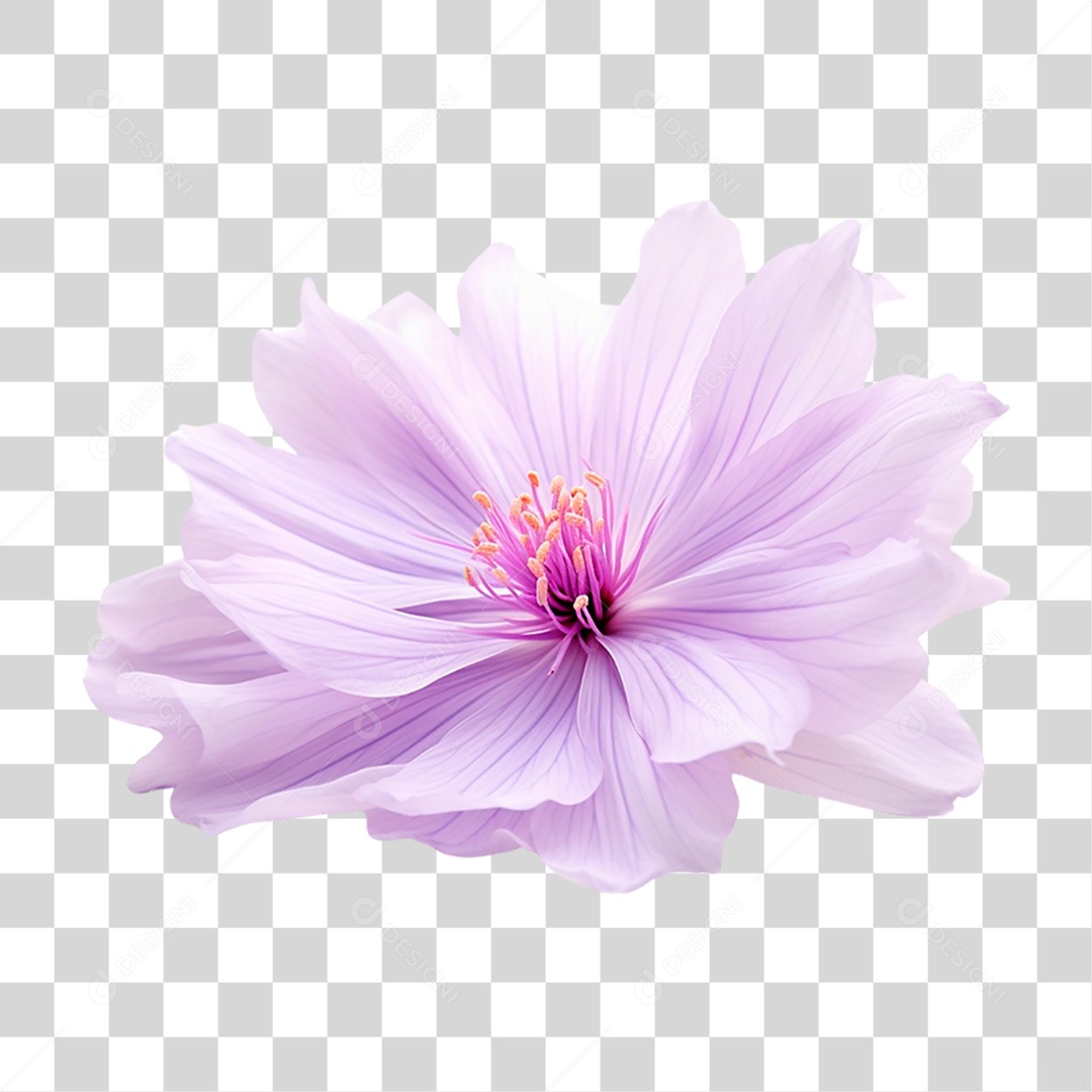 Flor Roxa PNG Transparente