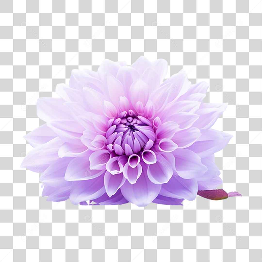 Flor Roxa PNG Transparente