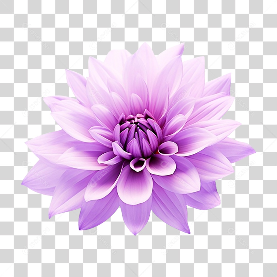 Pink Flower Transparent PNG