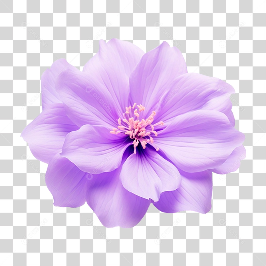 Flor Rosa PNG Transparente