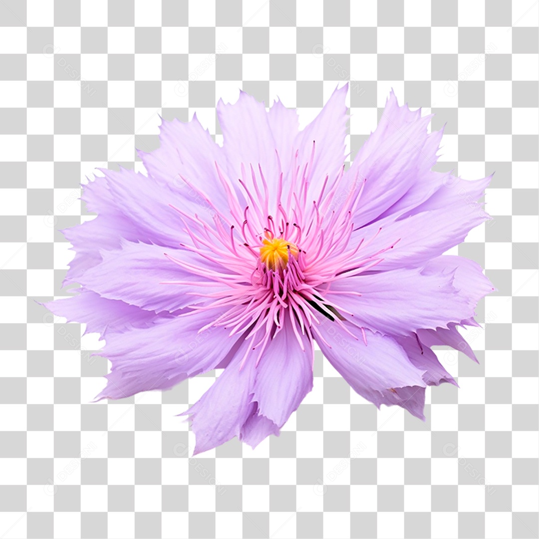 Flor Rosa PNG Transparente