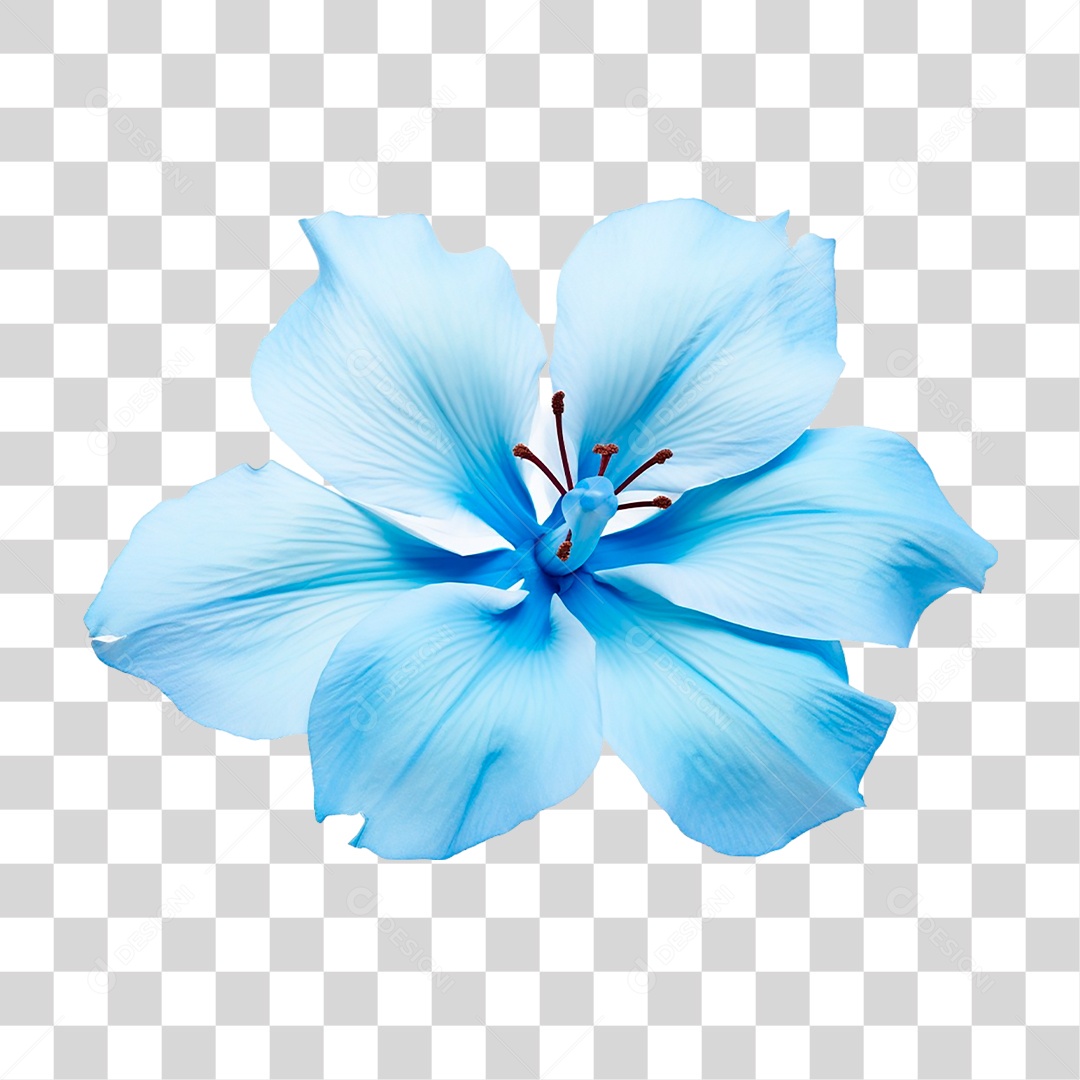 Flor Azul PNG Transparente