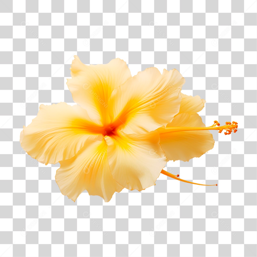 Flor Amarela PNG Transparente