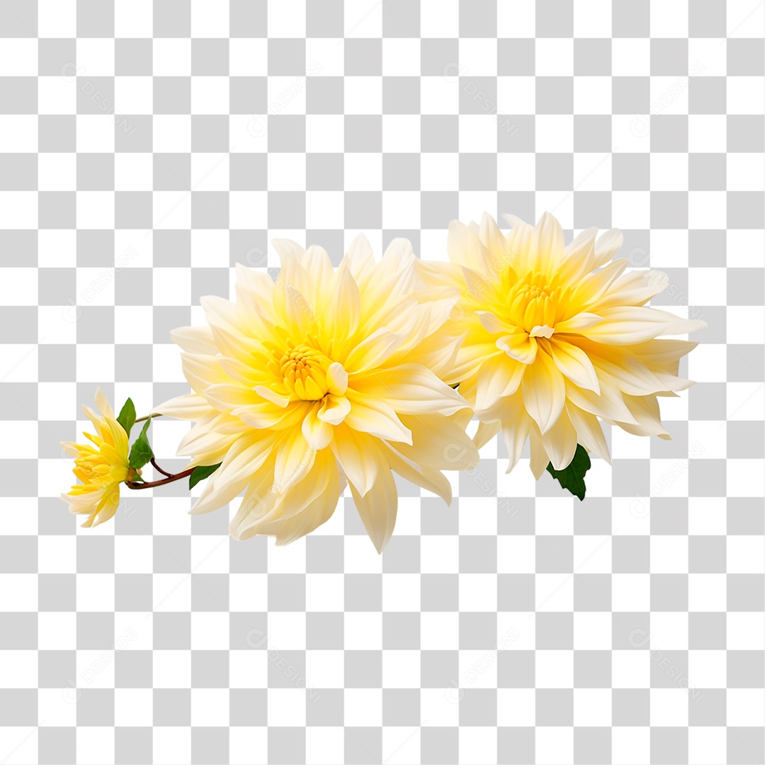 Flor Amarela PNG Transparente