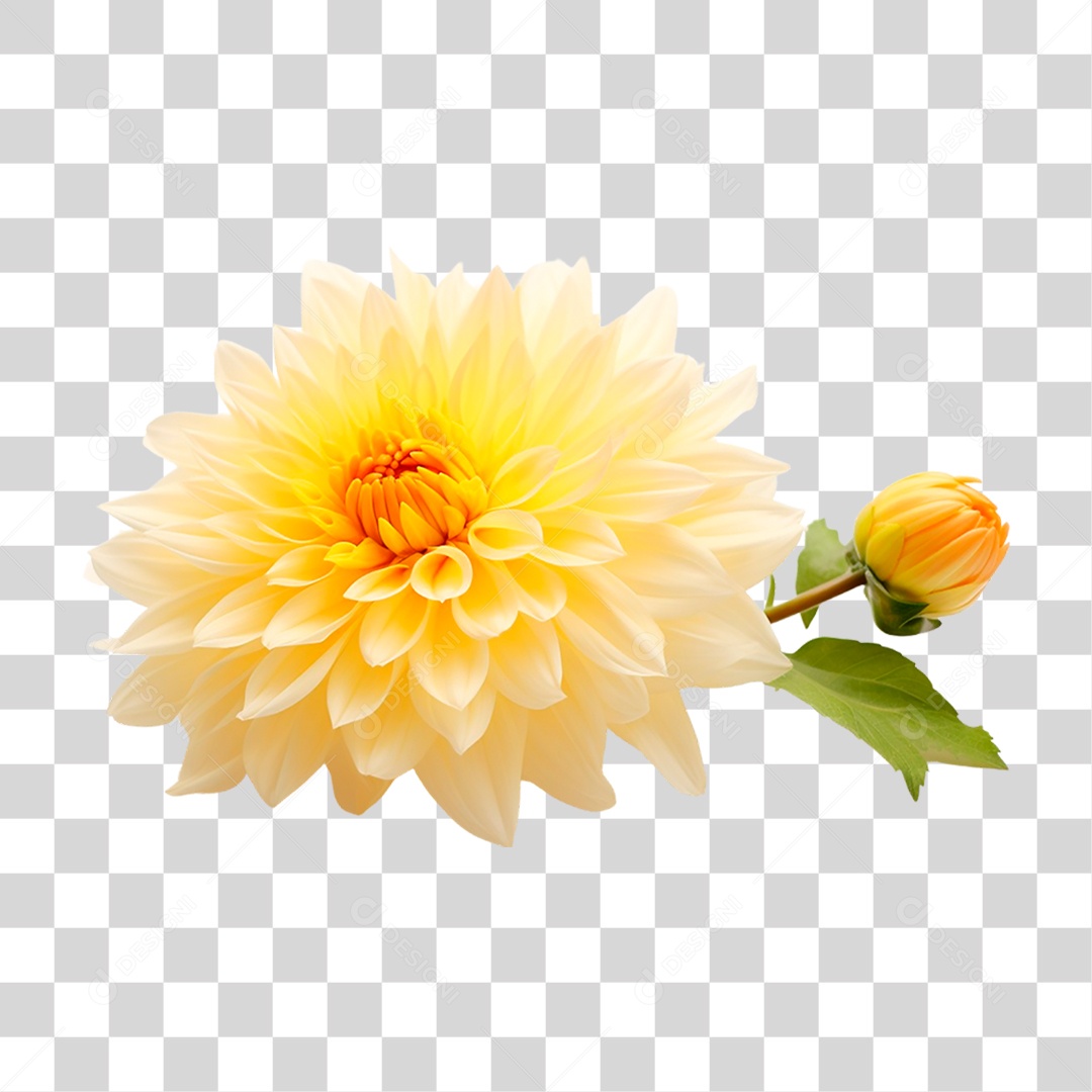 Flor Amarela PNG Transparente