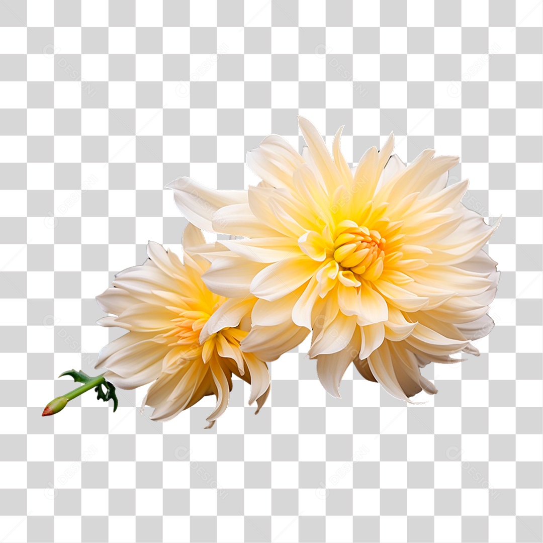 Flor Amarela PNG Transparente