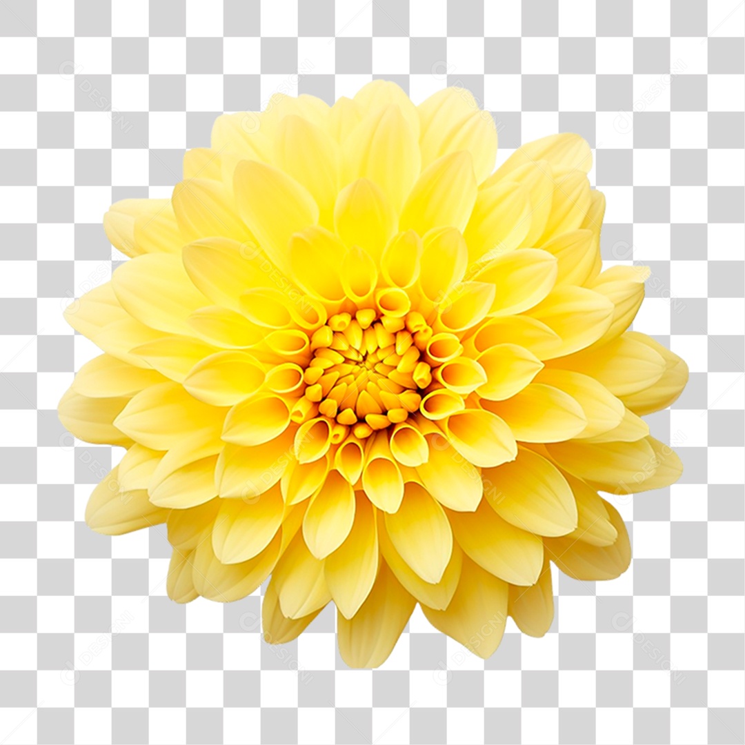 Flor Amarela PNG Transparente