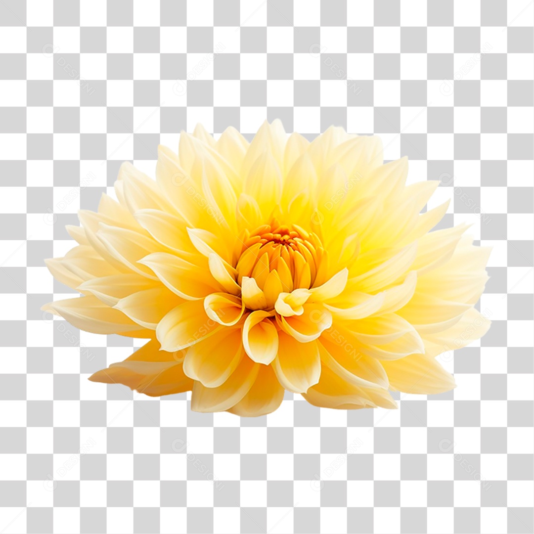 Flor Amarela PNG Transparente