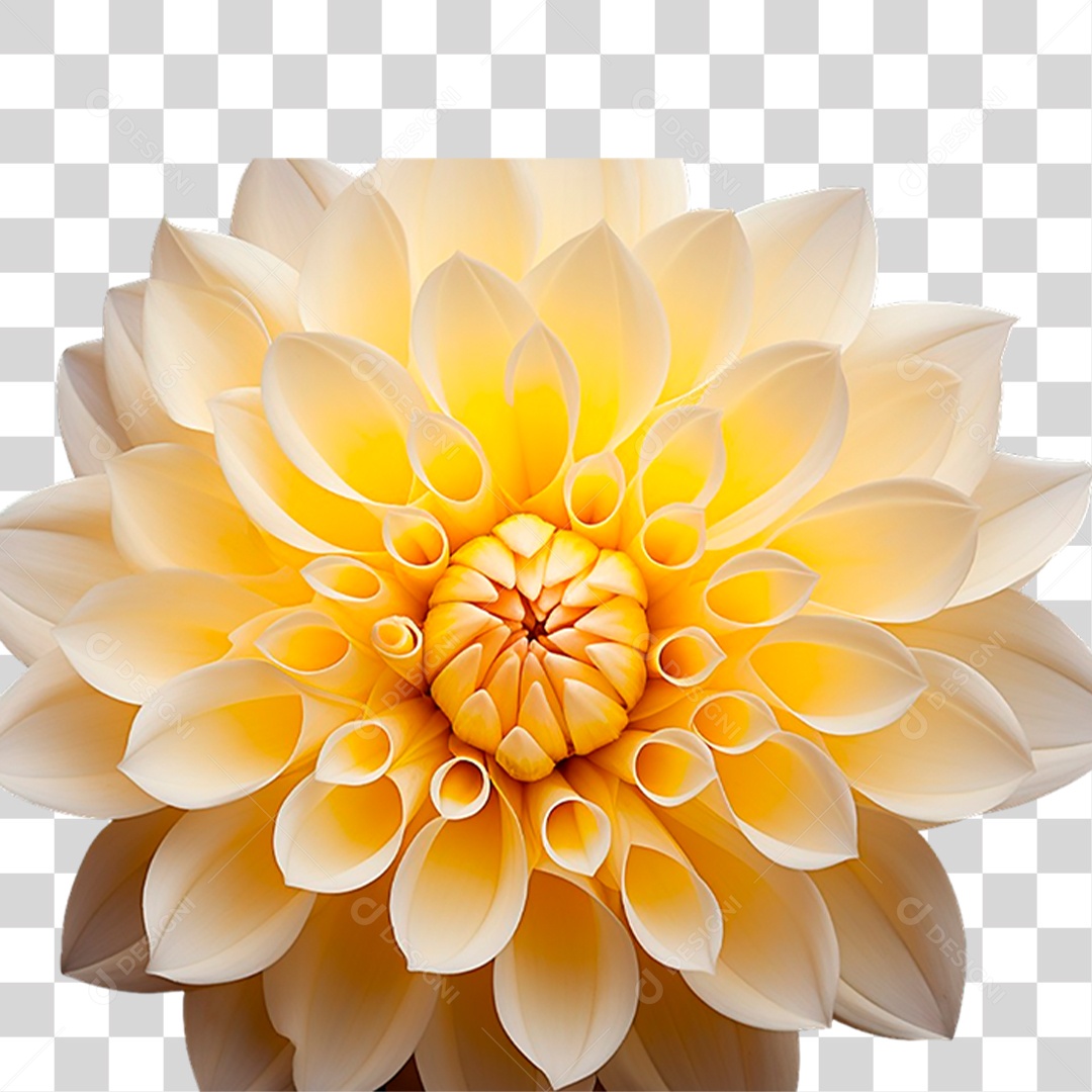 Flor Amarela PNG Transparente