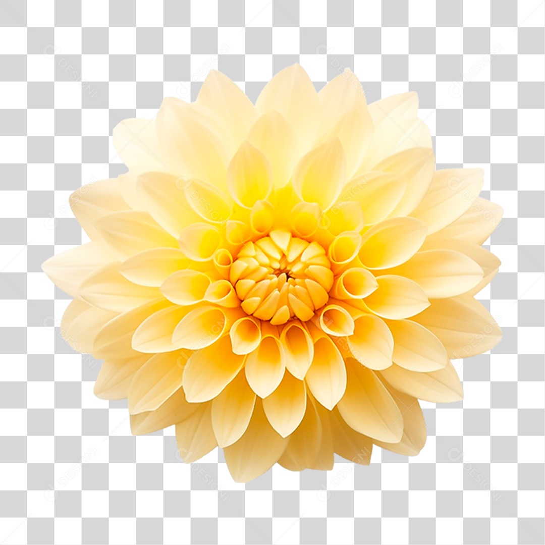 Flor Amarela PNG Transparente