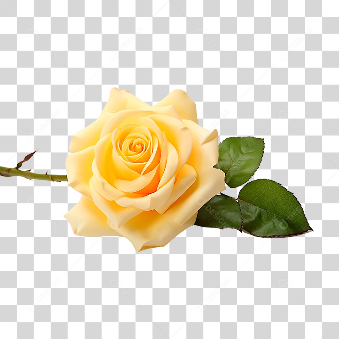Rosa Amarela PNG Transparente