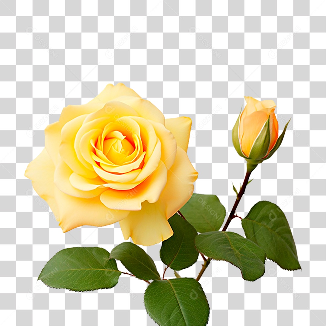Rosa Amarela PNG Transparente