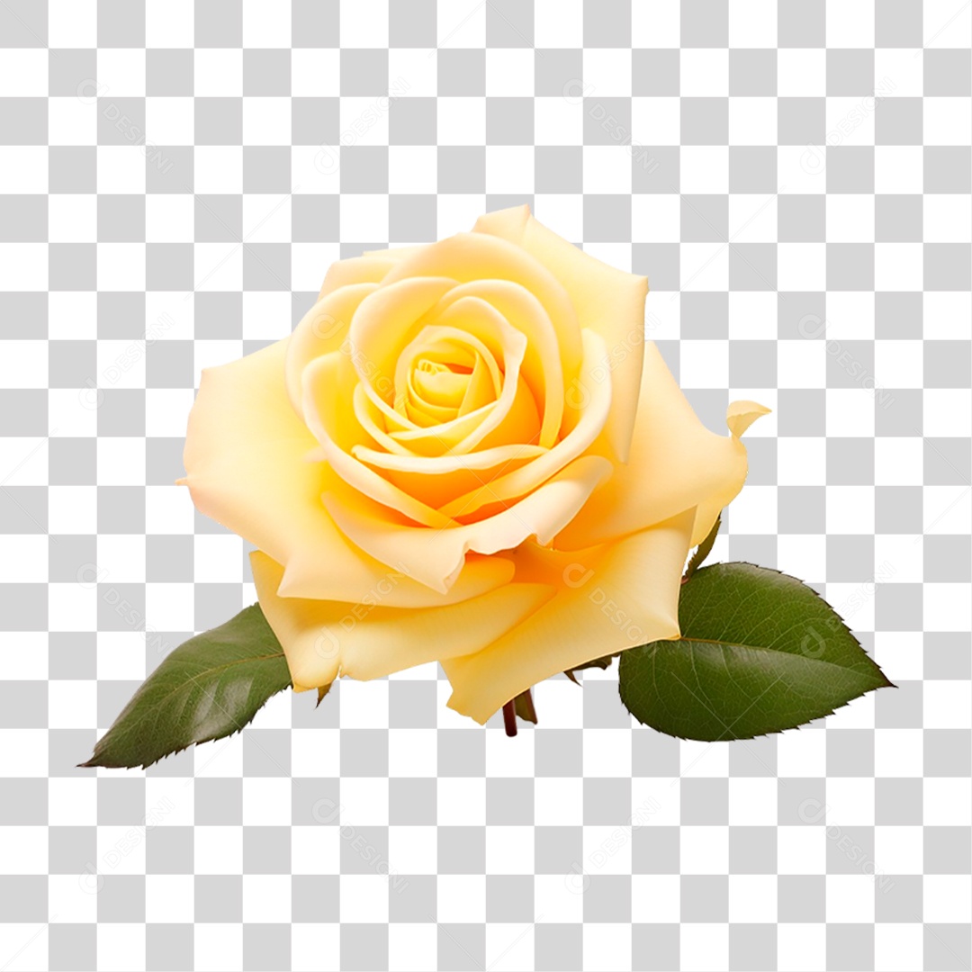 Rosa Amarela PNG Transparente