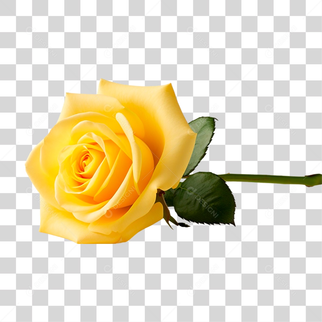 Rosa Amarela PNG Transparente