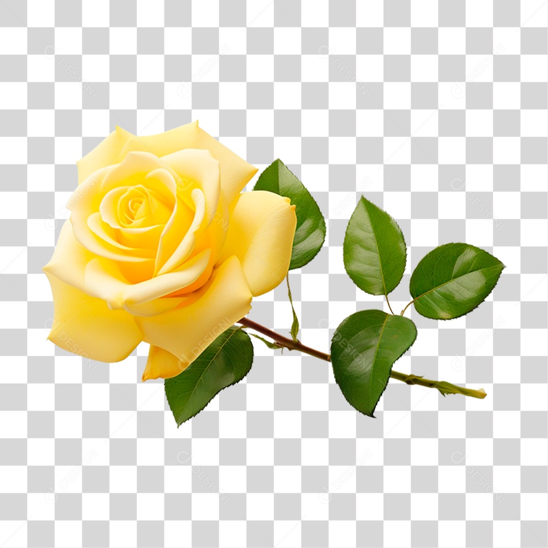 Rosa Amarela PNG Transparente