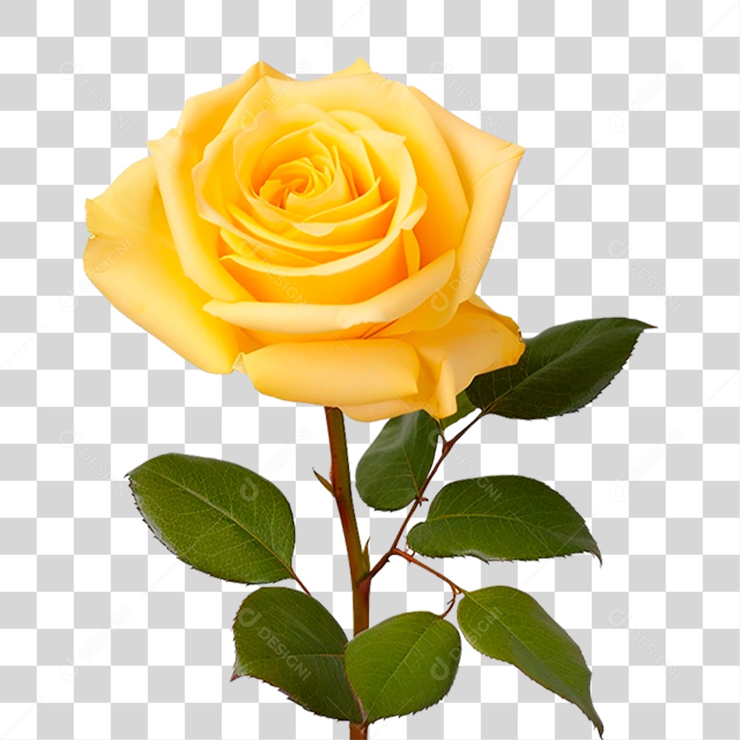 Rosa Amarela PNG Transparente