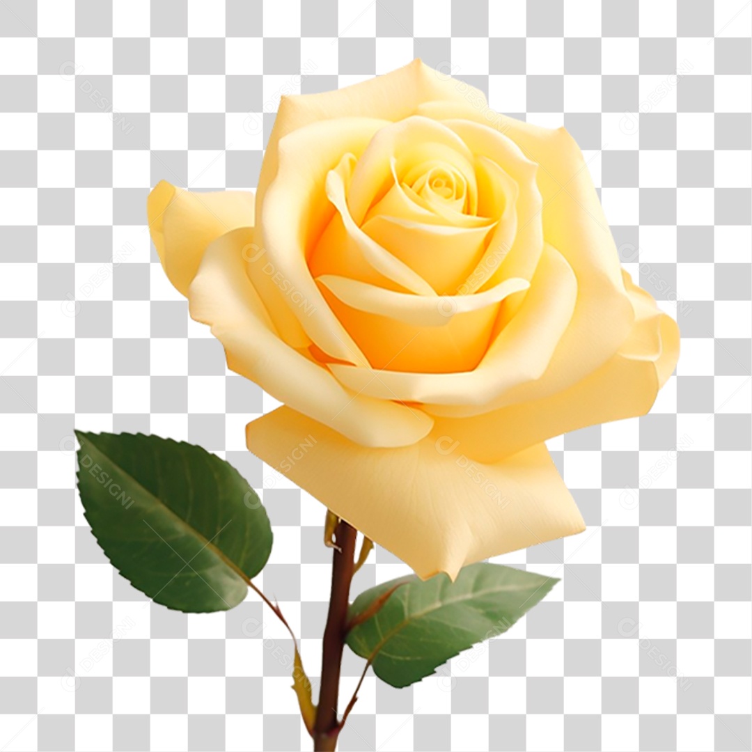 Rosa Amarela PNG Transparente