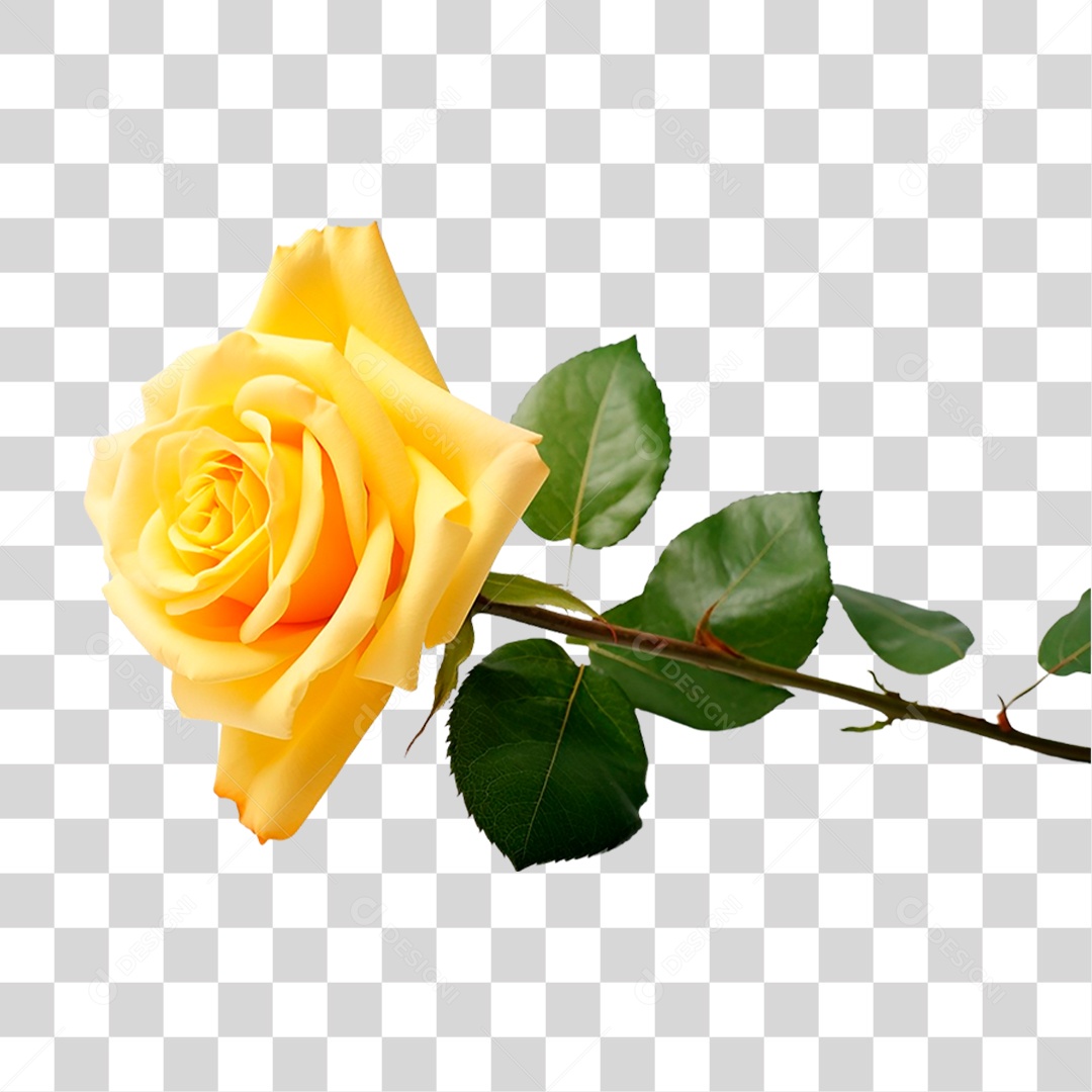 Rosa Amarela PNG Transparente