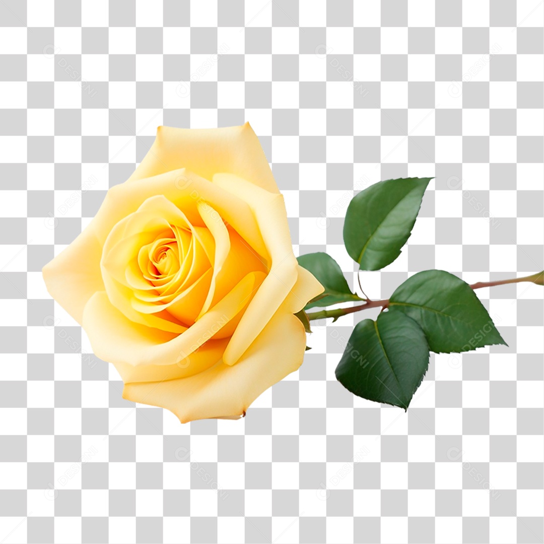 Rosa Amarela PNG Transparente