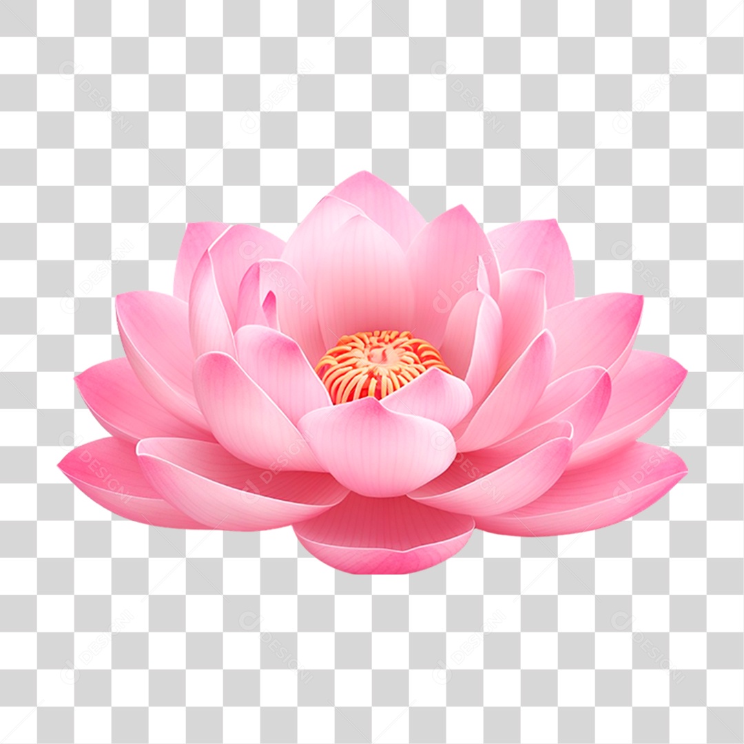 Flor Rosa PNG Transparente