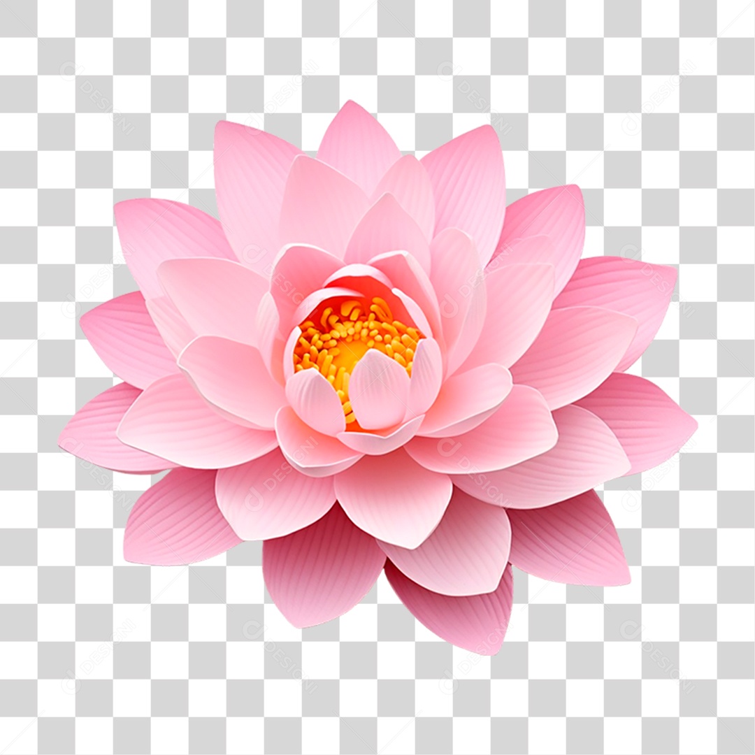 Flor Rosa PNG Transparente