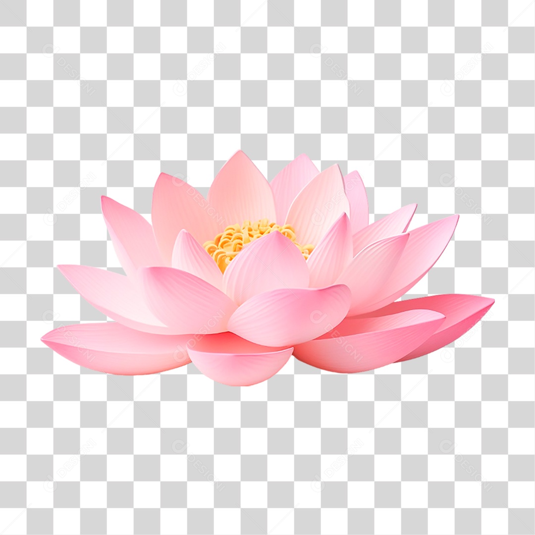 Flor Rosa PNG Transparente