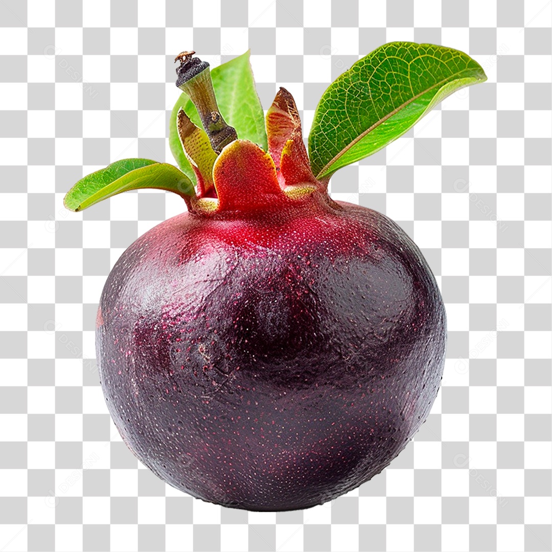 Mangusto PNG Transparente