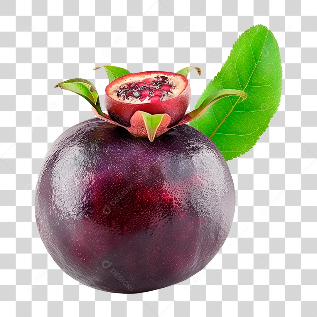 Mangusto PNG Transparente