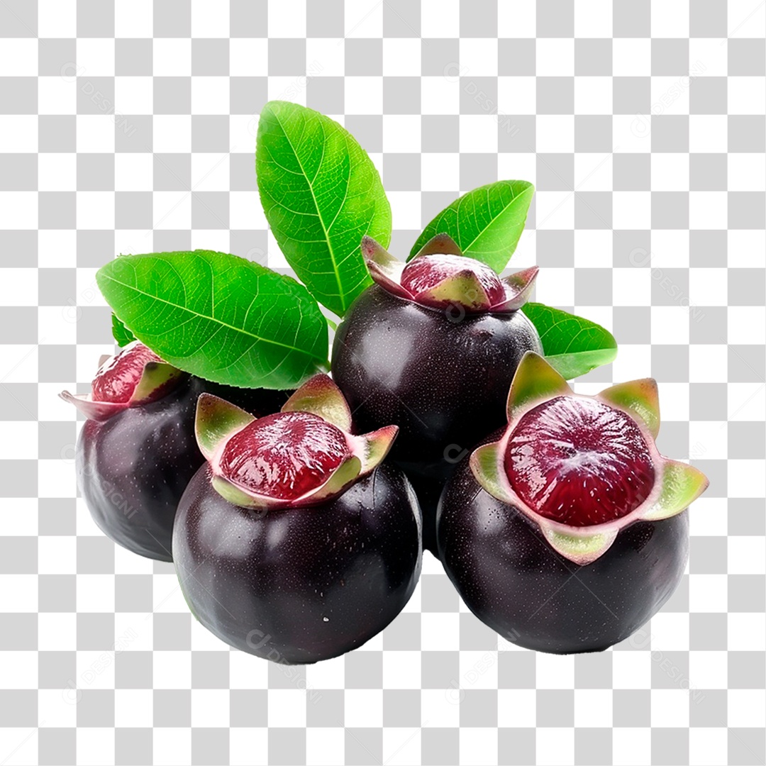 Mangustos PNG Transparente