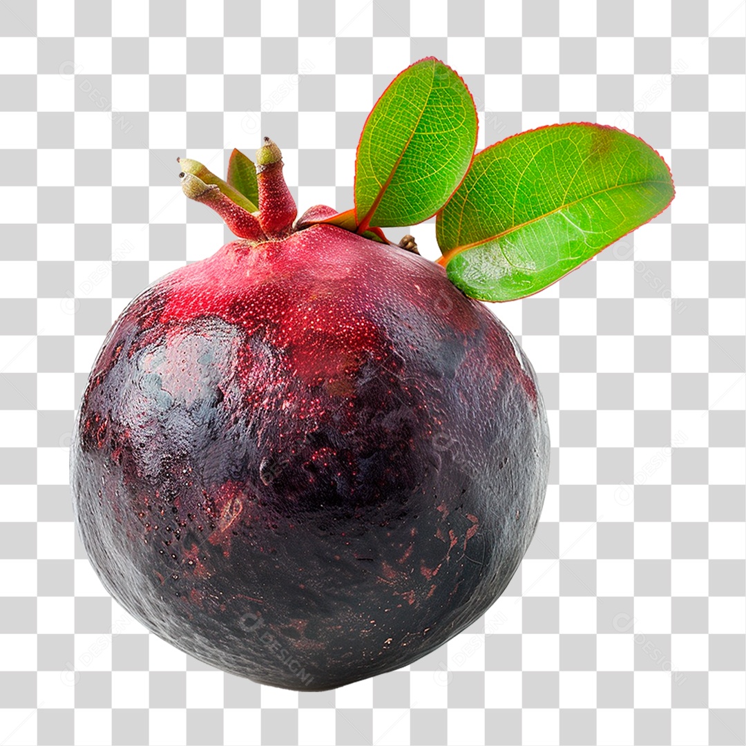 Mangusto PNG Transparente