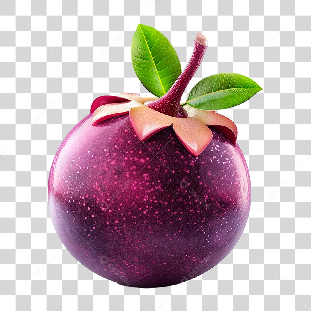 Mangusto PNG Transparente