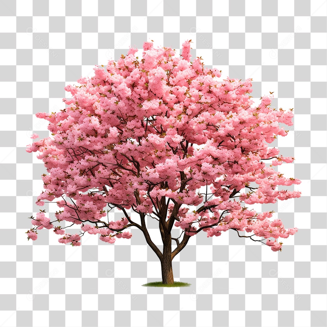 Árvore Cerejeira PNG Transparente