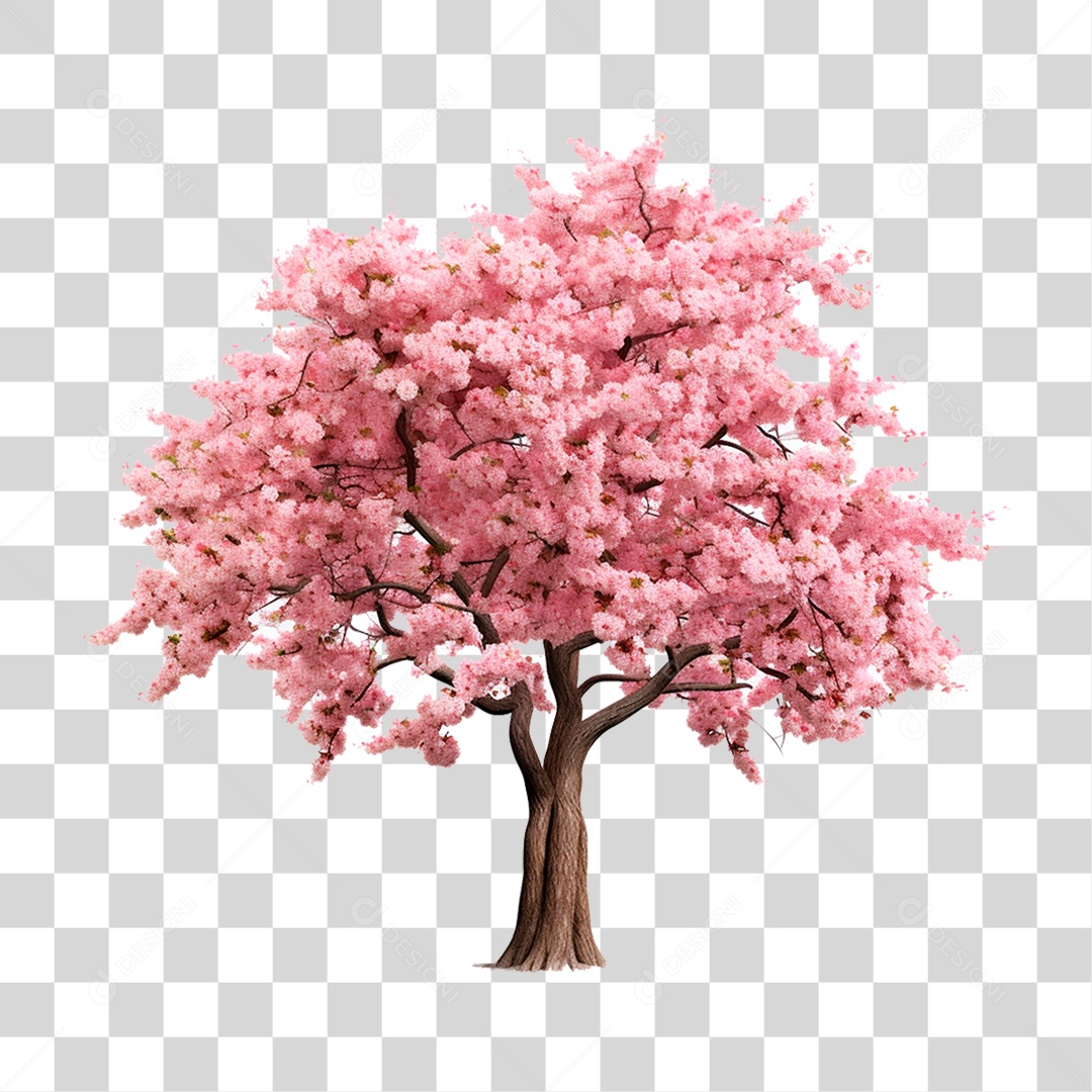 Árvore Cerejeira PNG Transparente