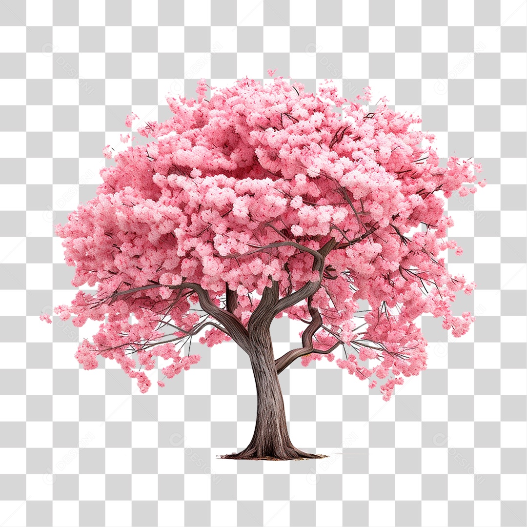 Árvore Cerejeira PNG Transparente